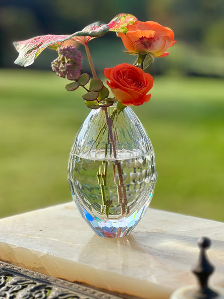 Glass Vases: Short Glass Vessels & Long Glass Vases