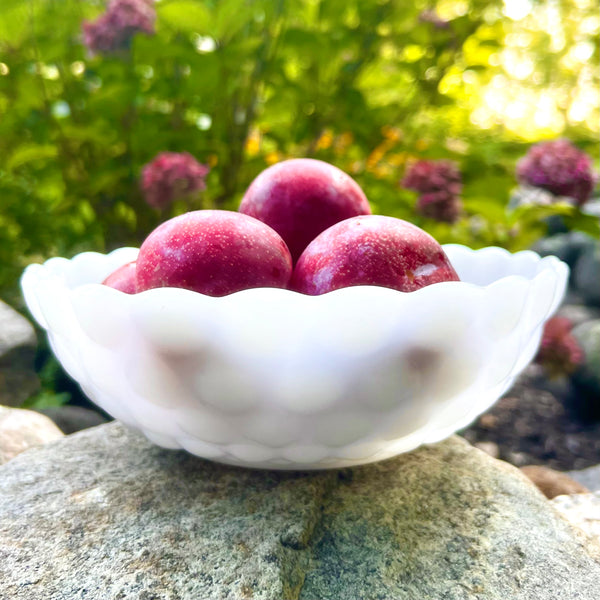 6 MILK discount GLASS SERVING BUBBLE BOWLS