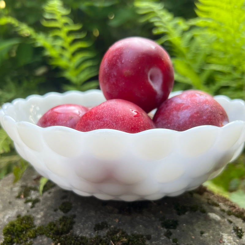 Vintage White Bubble Milk Glass Serving Bowl