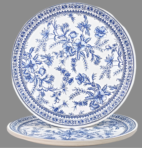 Blue and white paper plates 