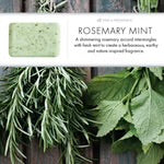 Artisanal French Soap Bar in Rosemary Mint