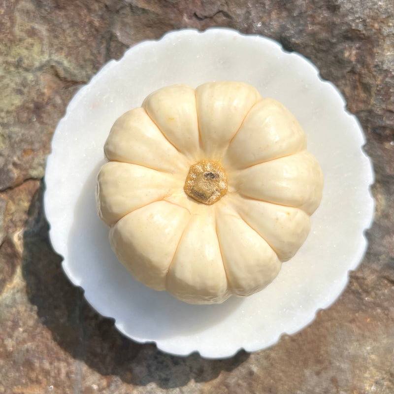 Marble Soap Dish with Fluted Edge