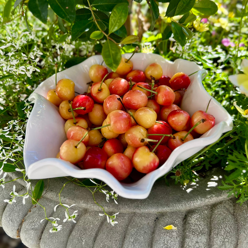 Vida Bloom Small Bowl