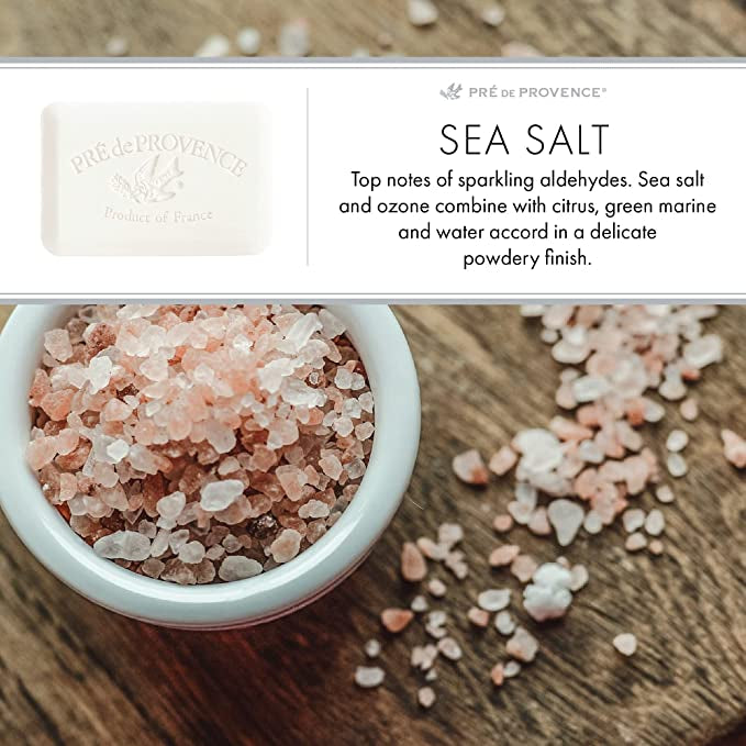 Pre de Provence Artisanal French Soap Bar in Sea Salt