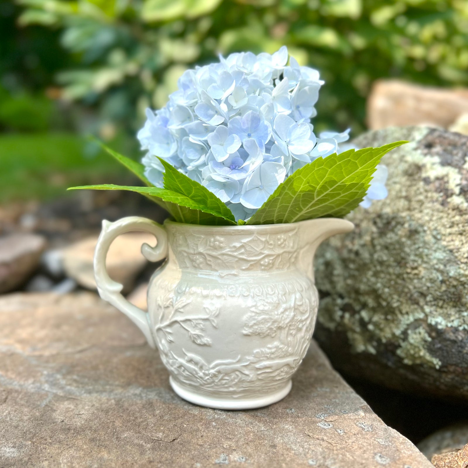 英国　ダヴグレイフェリシティーパスタボール English Ironstone Pitcher – DOVECOTE | Artistry at Home