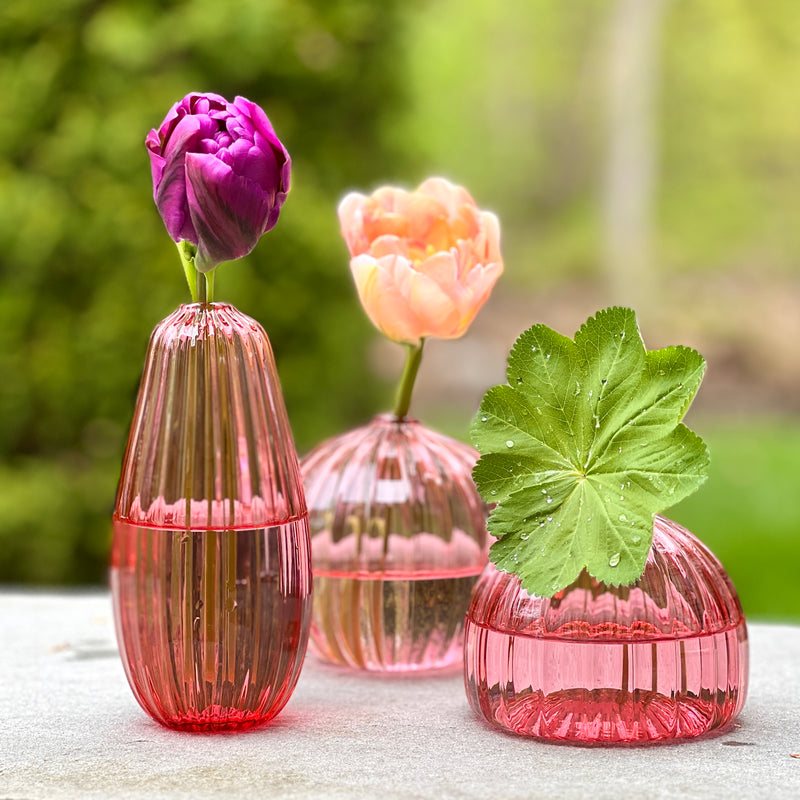 Pre Order Now! Artisan Bud Vase Trio in Quince Pink