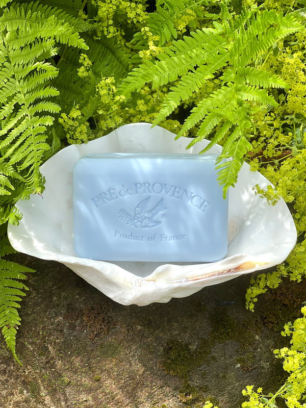 French Milled Soap Bar in Ocean Air by Pre de Provence