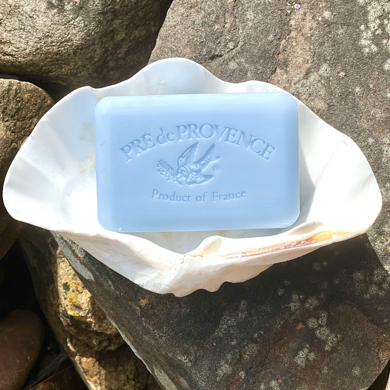 French Milled Soap Bar in Ocean Air by Pre de Provence