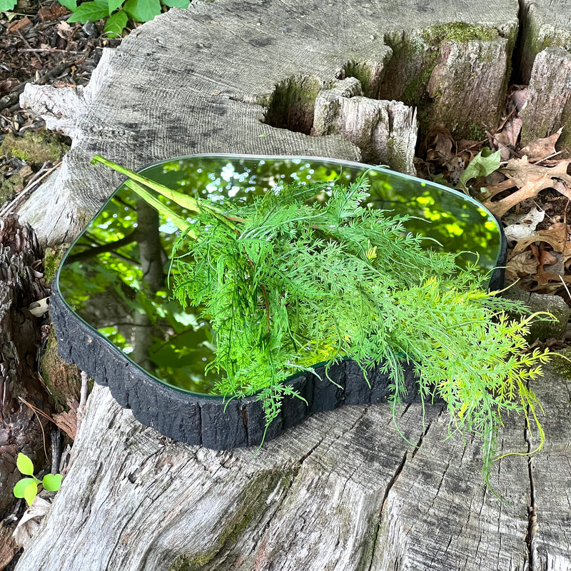 Intricate Faux Asparagus Fern Spray